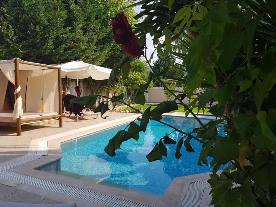 Villa Adonis With Private Pool By Lefkadastay Екстер'єр фото